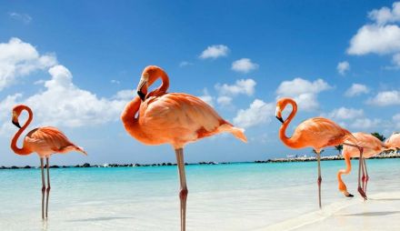 ЕКСКЛУЗИВНИ ОТСТЪПКИ - Почивка на о.Джерба, Тунис със самолет от София - 7 нощувки!